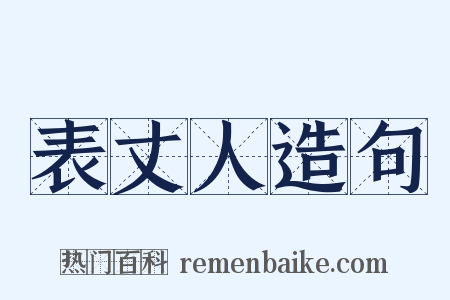 表丈人造句是什么意思的图片